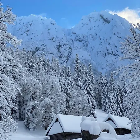 Rusalka فندق مبيت وإفطار 3*