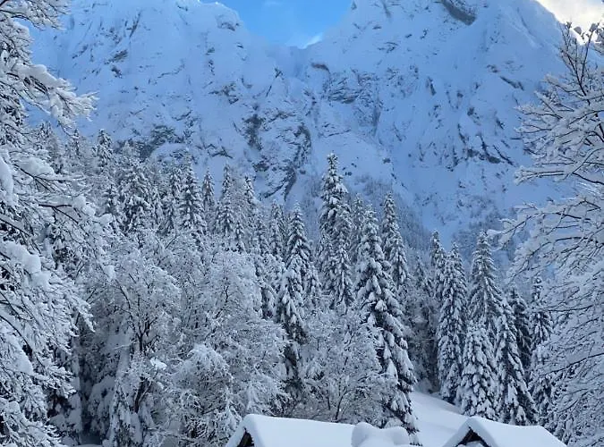 Rusałka Nocleg ze śniadaniem 3*