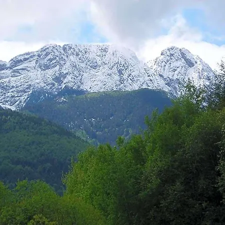 Rusalka Bed and breakfast Zakopane